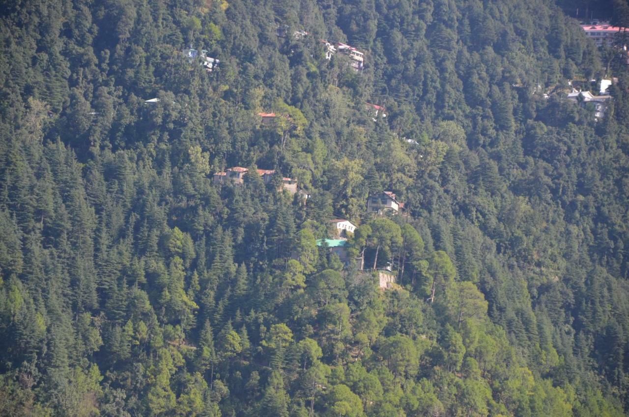 Peaceful Retreat Home Stay, Dalhousie Exteriér fotografie